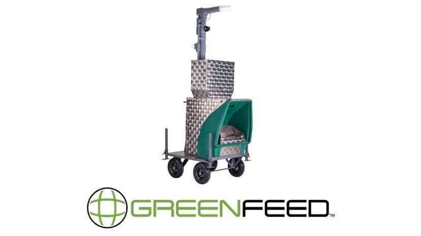 Green Feed