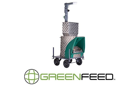 Green Feed