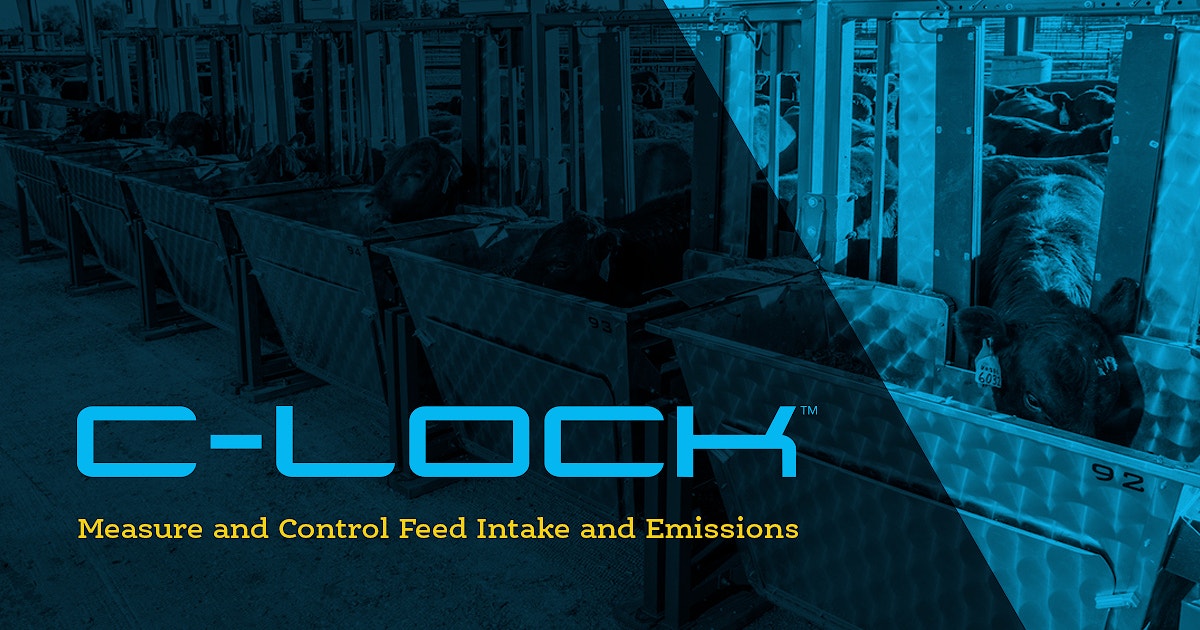 C-Lock Inc. | About Us